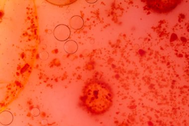 Kırmızı koronavirüs mikroskobu, bakteri, hastalık, mikroorganizmalar. Kopyalama alanını kapat