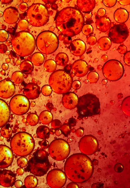 Rött Coronavirus Mikroskop Bakterier Sjukdom Mikroorganismer Närbild Kopieringsutrymme — Stockfoto