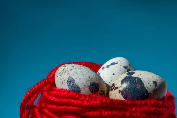Перепелиные Яйца Красной Нити Синий Фон Закрыть Скопировать Пространство — стоковое фото