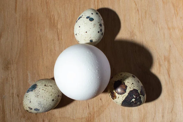 Яйца Перепела Курицы Дереве Крупным Планом Скопировать Пространство — стоковое фото