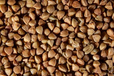 Karabuğday lapası kalıplı kahvaltı kahvaltısı. Üst manzara yakın.