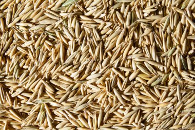 Buğday desenli yiyecekler üst manzarayı kapatın