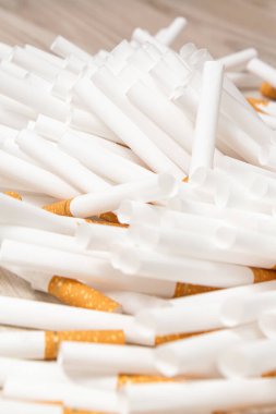 Birçok kabuk hafif bir ahşap üzerine saçılmıştır.