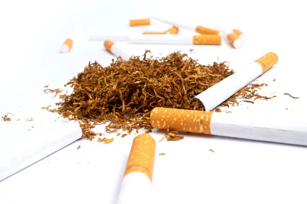 Handvol Tabak Sigarettenliners Een Witte Achtergrond Isolaat — Stockfoto
