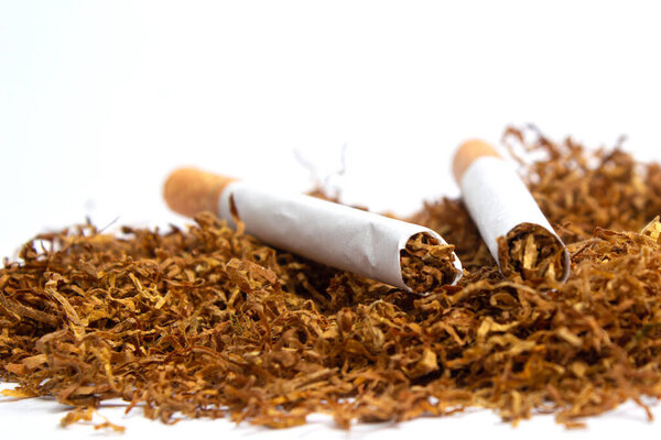 two cigarettes lie on tobacco tobacco on a white background. isolate