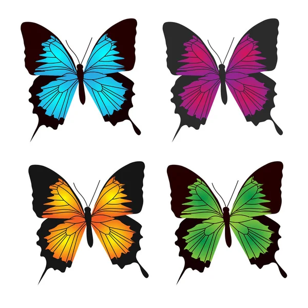 Koleksiyon kelebek monarch — Stok Vektör