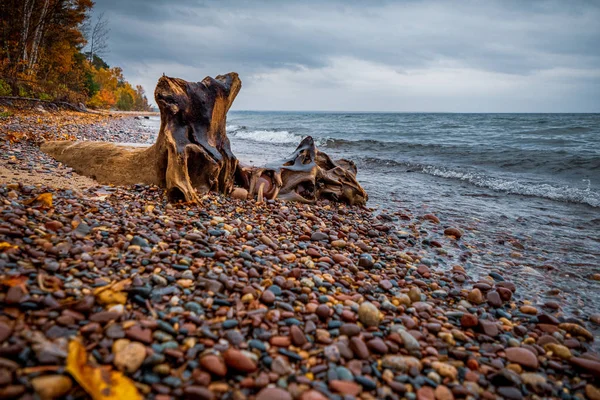 Burned Drift wood on sandy beach shore — 스톡 사진