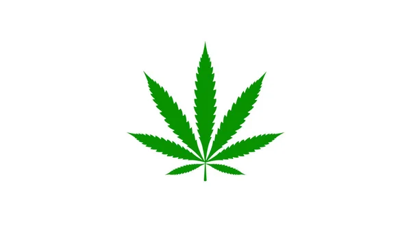Cannabisblatt Isoliert Auf Weiß Hanf — Stockfoto