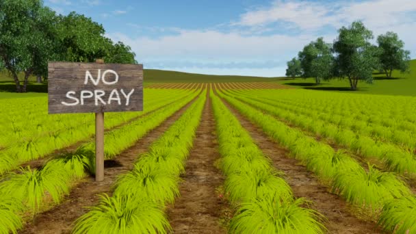 Naturale chimica libera biologico ecofattoria campo paesaggio rurale — Video Stock