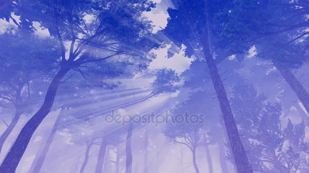 Pine tree kronen en mystic lights cinemagraph — Stockvideo