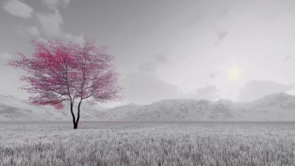 Sakura cherry strom v květu zpomalený černobílý 3d animace