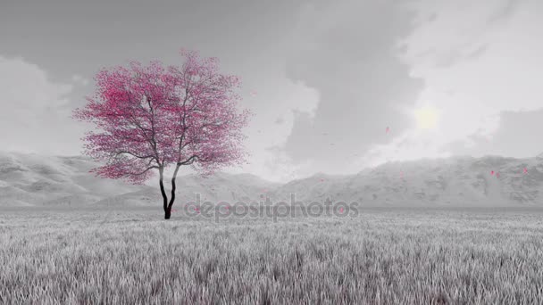 Fantasy sakura cherry tree in full bloom slow motion — Stock Video