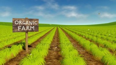 Doğal organik eko tarım alanı sineması