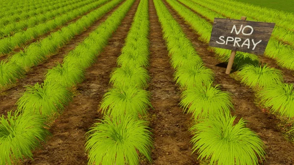 Signo de madera No Spray entre camas verdes — Foto de Stock