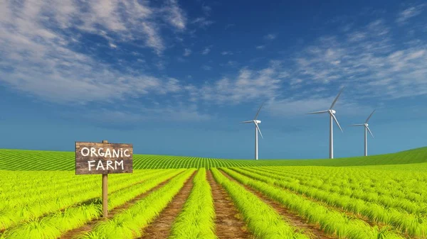 Organic eco farming field and wind turbines — Stock Photo, Image