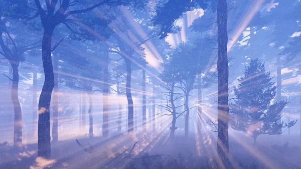 Büyülü güneş ışınları şafak veya alacakaranlıkta sisli orman — Stok fotoğraf