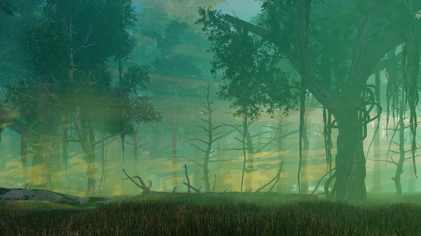 神秘的な暗い森に霧の夕暮れ — ストック写真