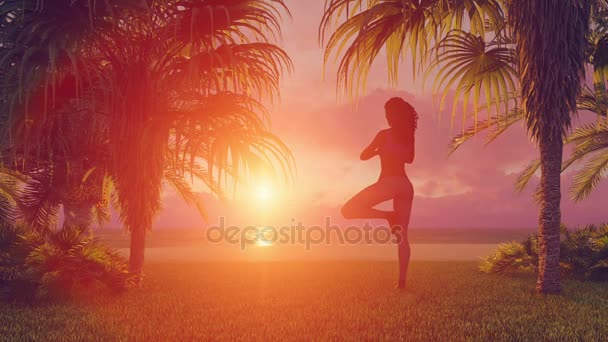 Afrikaanse vrouw mediteren op strand in yoga boom pose bij zonsopgang 4k — Stockvideo