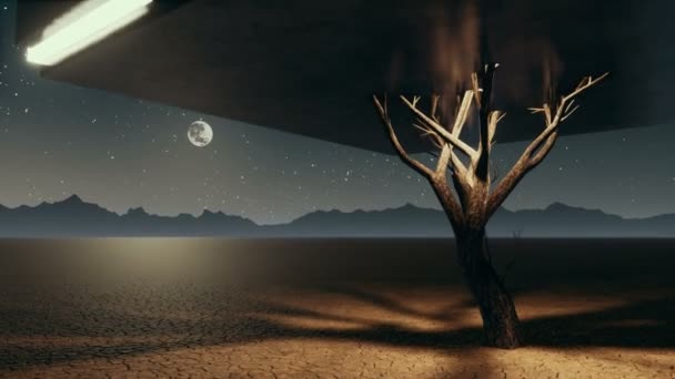 Surreal lonely cube tree in apocalyptic desert at night 4K animation — Stock Video