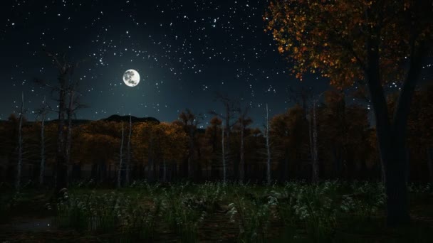 Bosque de otoño embrujado en la noche brumosa oscura 4K — Vídeos de Stock