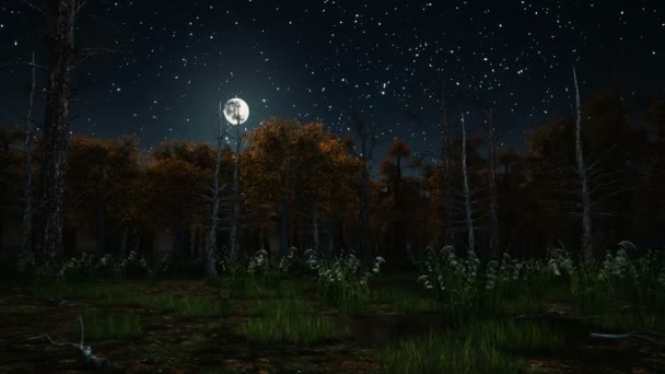 Страшный осенний лес в лунную ночь 4K — стоковое видео