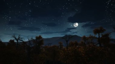 Dolunay Cadılar Bayramı gecesi 4k spooky ormanı üzerinde