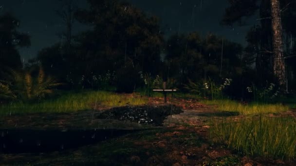 Tombe anonyme fraîche dans une forêt nocturne effrayante sous la pluie 4K — Video