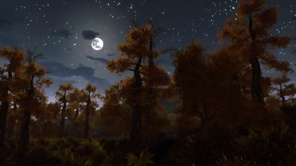 Повний місяць над пухнастим нічним лісом 4K — стокове відео