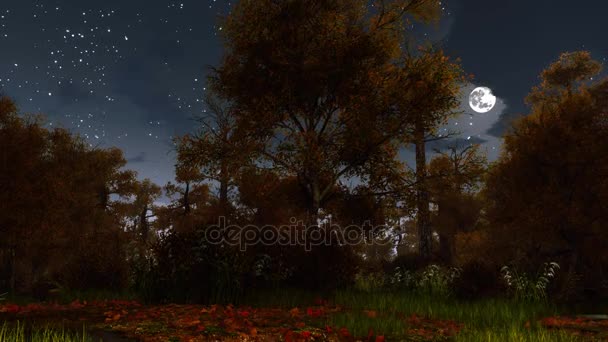 Spettrale foresta autunnale a luna piena notte 4K — Video Stock