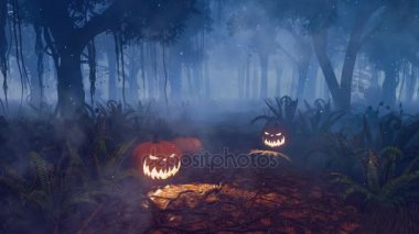 Halloween pumpkins büyülü gece ormanda 4 k'dan fazla zoom