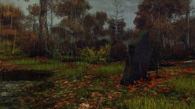 Yağmurlu gece sonbahar ormandaki mezar taşı