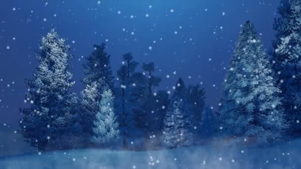Vreedzame Winters Tafereel Met Sneeuw Bedekt Fir Tree Forest Nachts — Stockvideo