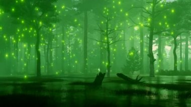 Fairytale orman sahne karanlık gece korkunç orman bataklık üzerinde uçan gizemli sihirli firefly ışıkları ile. 4 k'dan fazla işlenen 3d animasyon fantastik