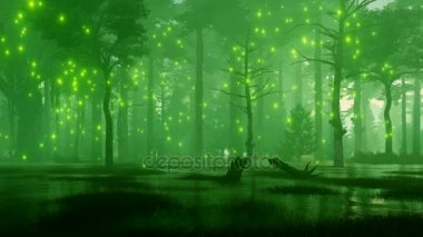 Bir karanlık gizemli gece ormanda korkunç bataklık üzerinde uçan mistik firefly ışıkları ile rüya gibi orman sahne. 4 k'dan fazla işlenen 3d animasyon fantastik