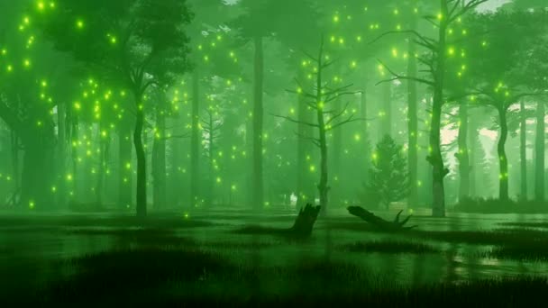 Dromerige Bosrijke Landschap Met Mystic Firefly Lichten Vliegen Spooky Moeras — Stockvideo