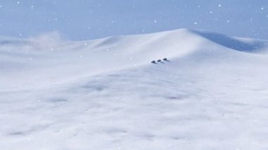 Grup 4 x 4 off-road araba Suv karlı arctic çöl kara yoluyla, yoğun kar yağışı ve blizzard ile kötü hava sürüş ile kış manzarası. 4 k'dan fazla işlenen gerçekçi 3d animasyon