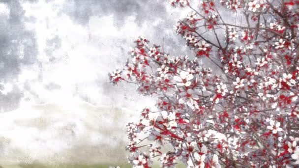 Lush Blooming Japanese Sakura Cherry Tree Hand Painted Ink Watercolor — Stock Video