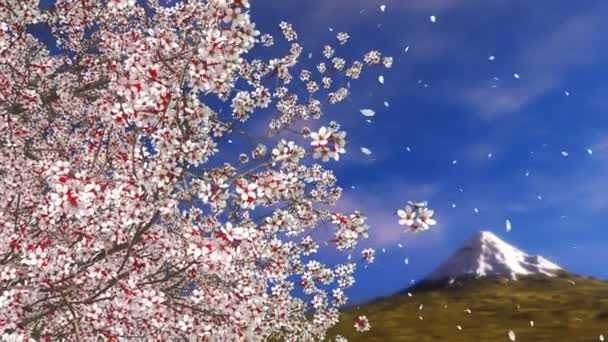 Close Árvore Flor Cereja Sakura Japonês Com Pétalas Flores Caindo — Vídeo de Stock