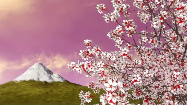 富士山の背景に風光明媚な夕焼け空と満開エドヒガン桜樹冠のクローズ アップ 春シーズンの アニメーションが でレンダリング — ストック動画