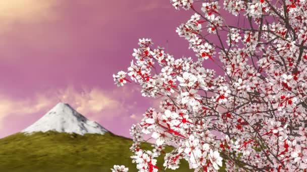 Zblízka pohled kvetoucí japonská třešeň sakura stromu proti Mt Fudžijama a malebné východu nebo západu slunce na obloze na pozadí. Jarní sezóna 3d animace vykreslované v rozlišení 4k