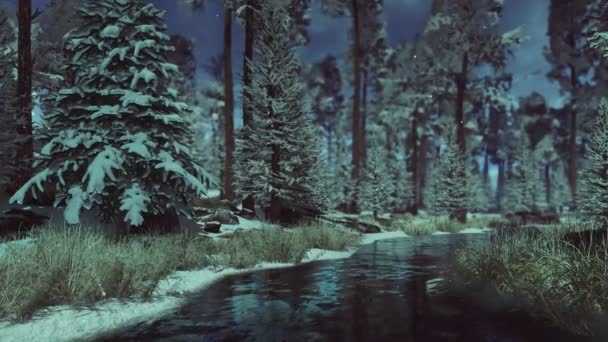 Peaceful Woodland Scenery Small Creek Snow Covered Fir Trees Conifer — Stock Video