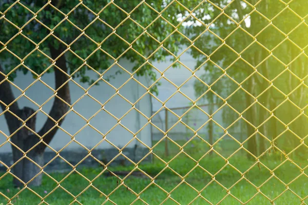 Θέα μέσα από τα παλιά σκουριασμένα κίτρινα σιδερένια δοκάρια διχτυωτό δίχτυ στο φράχτη. Πράσινο δέντρο και γρασίδι στο παρασκήνιο — Φωτογραφία Αρχείου