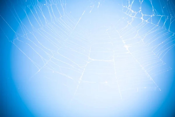 Cobwebs against a clear blue sky. soft focus — Stock Photo, Image