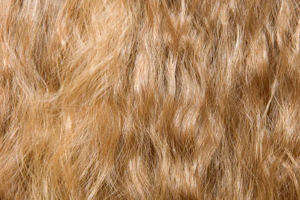 Vue rapprochée de la lumière naturelle Fond de cheveux bouclés brillants et lâches. Texture longue et brillante des cheveux ondulés . — Photo