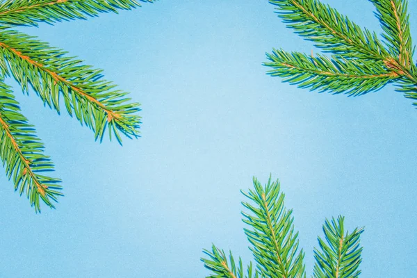 Green Christmas tree branches on blue background. Happy New year and Merry Christmas concept. — Stock Photo, Image