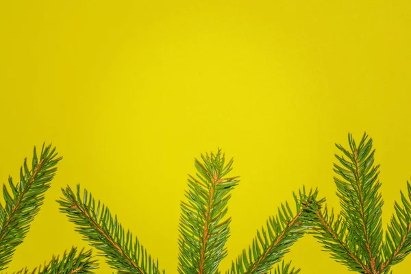 Green fir branch Christmas tree on yellow background. Happy New year and Merry Christmas concept. Copyspace for text — Stock Photo, Image