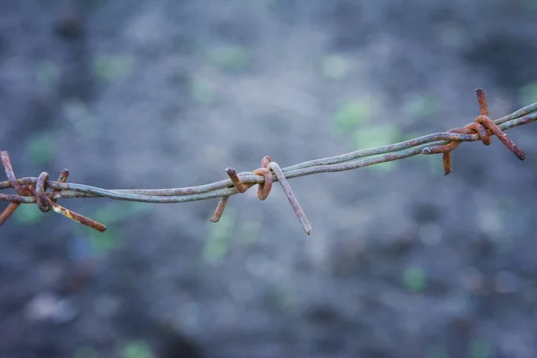날카로운 오래 된 녹슨 철조망. 추상적 배경 — 스톡 사진
