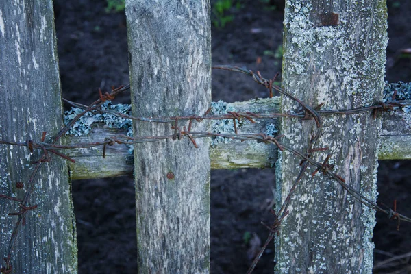 O musgo velho cobriu a cerca de madeira weathered com o arame farpado enferrujado. Foco suave seletivo . — Fotografia de Stock