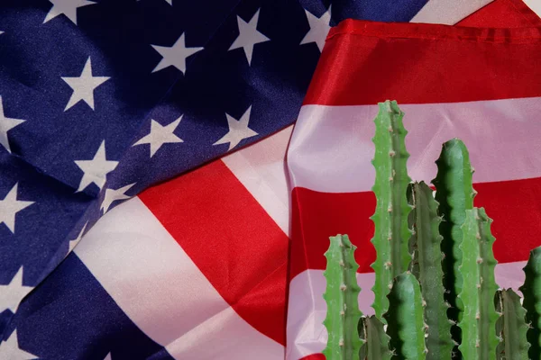 Зеленый кактус с шипами на фоне американского флага. Граница между Америкой и Мексикой . — стоковое фото