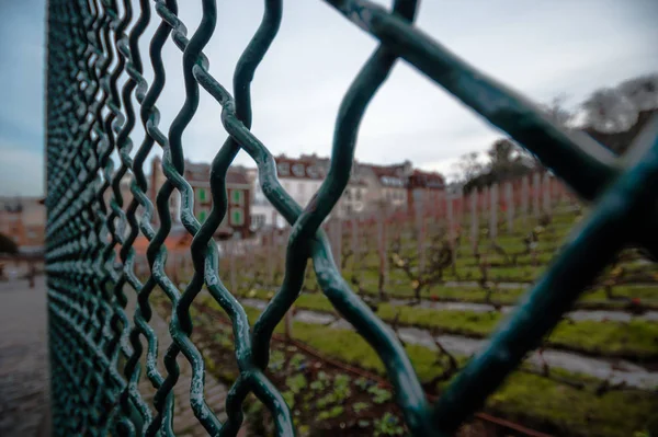 Gün doğumunda Paris 'in güzel caddesi